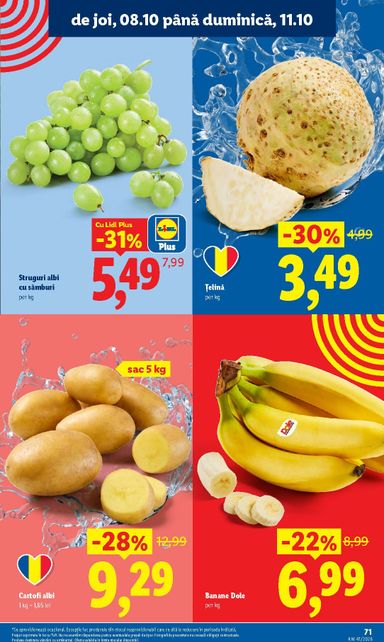 Catalogul Lidl - Lidl de la 05.10. până la 11.10. - pagina 71