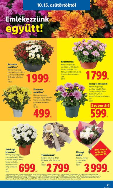 Akciós újság Lidl - Lidl érvényes 10.15.-tól 10.21.-ig - 21 oldal