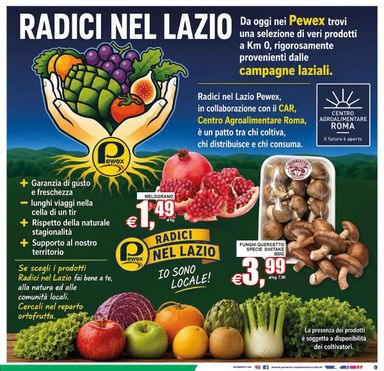 Volantino Pewex - Pewex - Supermercati valido dal 02/10 al 13/10 - pagina 9