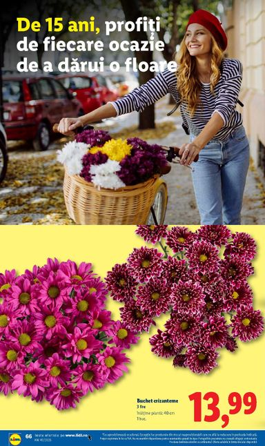 Catalogul Lidl - Lidl de la 05.10. până la 11.10. - pagina 66
