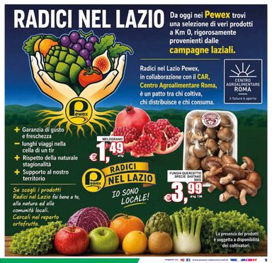 Volantino Pewex - Pewex - Supermercati Via Rubicone, Roma valido dal 02/10 al 13/10 - pagina 9