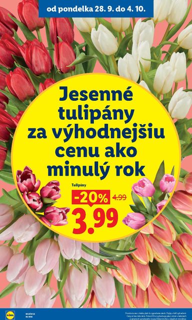 Leták Lidl - Lidl od 28.09. do 04.10. - strana 50