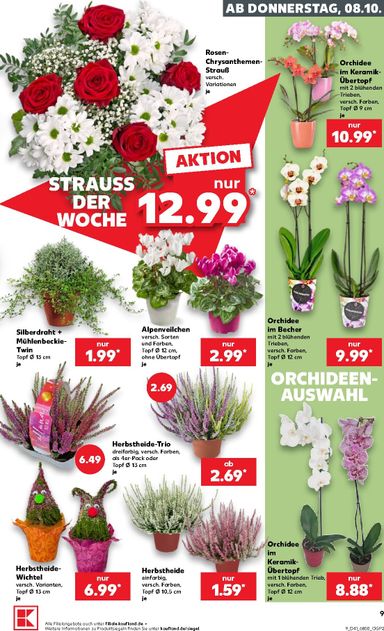 Leták Kaufland Německo - Kaufland Německo od 08.10. do 14.10. - strana 9