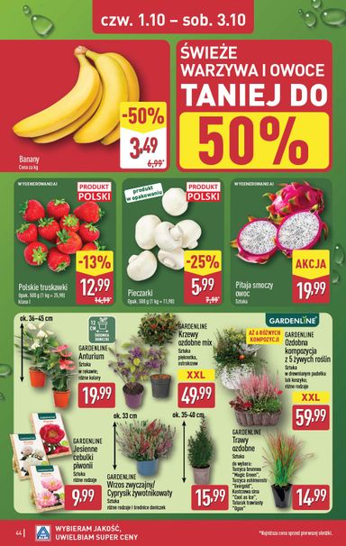 Gazetka ALDI - ALDI od 28.09. do 03.10. - strona 44