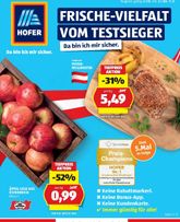 HOFER-Flugblatt