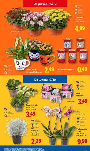 Volantino Lidl - Lidl valido dal 15/10 al 21/10 - pagina 45