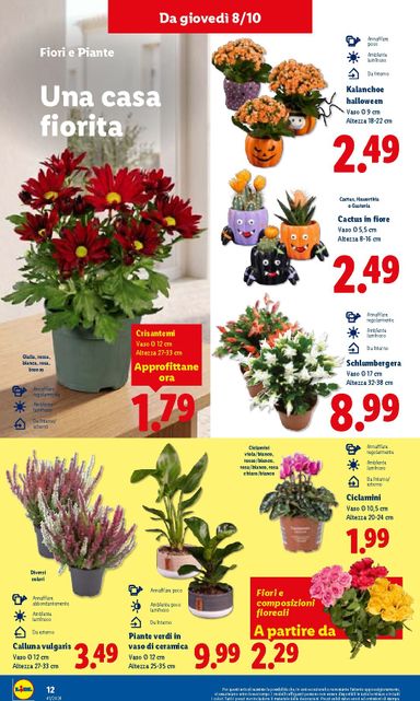 Volantino Lidl - Lidl valido dal 08/10 al 14/10 - pagina 34