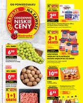 Biedronka gazetka