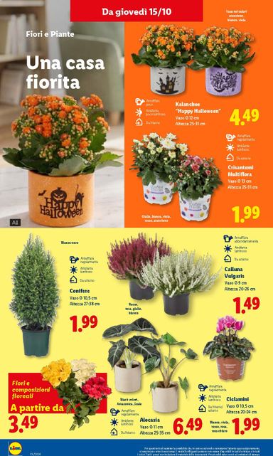 Volantino Lidl - Lidl valido dal 15/10 al 21/10 - pagina 44