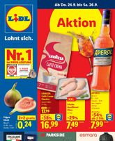 Lidl-Flugblatt