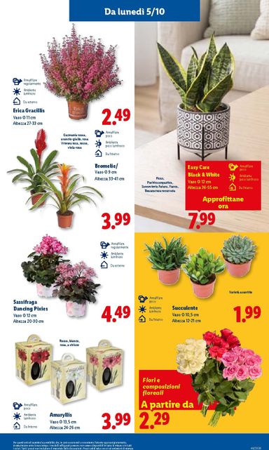 Volantino Lidl - Lidl valido dal 01/10 al 07/10 - pagina 31