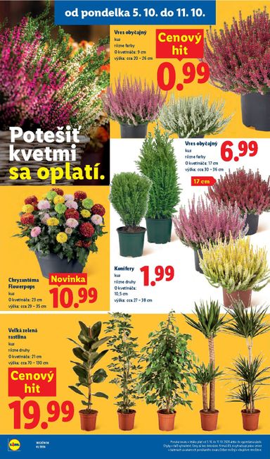 Leták Lidl - Lidl od 05.10. do 11.10. - strana 44