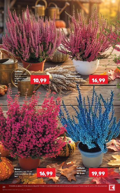Catalogul Kaufland - Kaufland de la 30.09. până la 06.10. - pagina 20