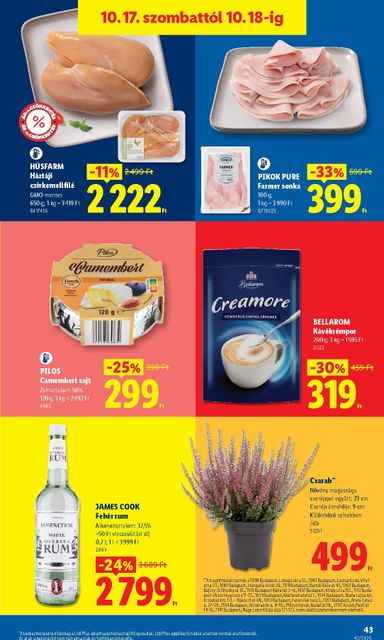 Akciós újság Lidl - Lidl érvényes 10.15.-tól 10.21.-ig - 43 oldal