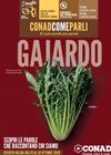 Conad City
