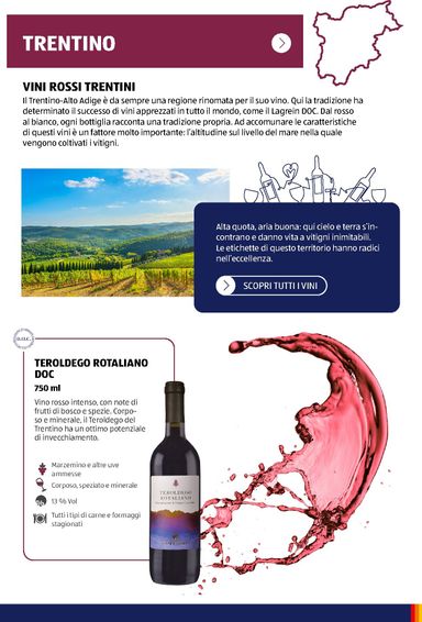 Volantino ALDI - ALDI - Brochure Vinoteca valido dal 06/07 al 31/12 - pagina 17