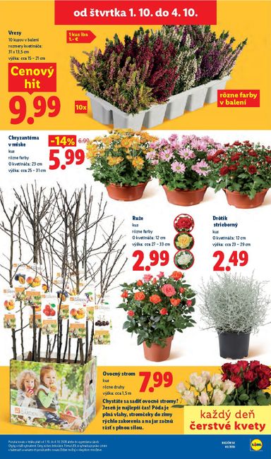 Leták Lidl - Lidl od 28.09. do 04.10. - strana 81