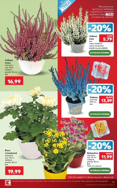 Catalogul Kaufland - Kaufland de la 07.10. până la 13.10. - pagina 17