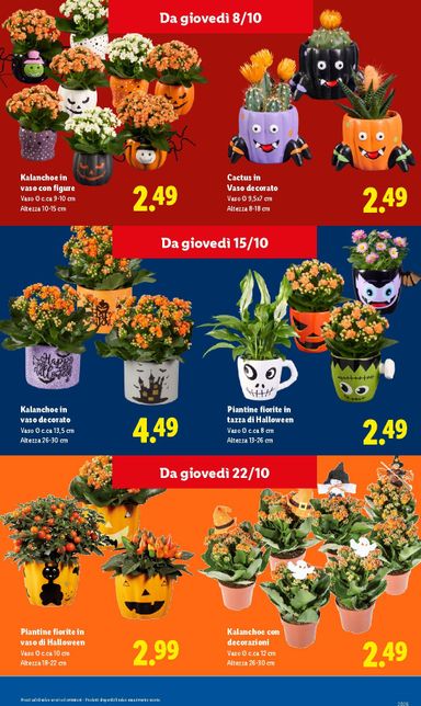 Volantino Lidl - Lidl - Da Lidl ogni brivido vale davvero valido dal 01/10 al 31/10 - pagina 17
