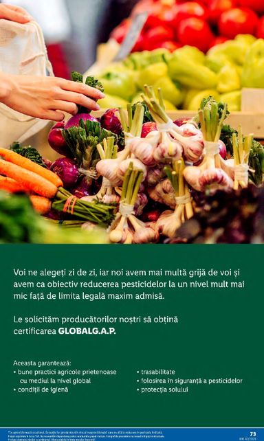 Catalogul Lidl - Lidl de la 05.10. până la 11.10. - pagina 73