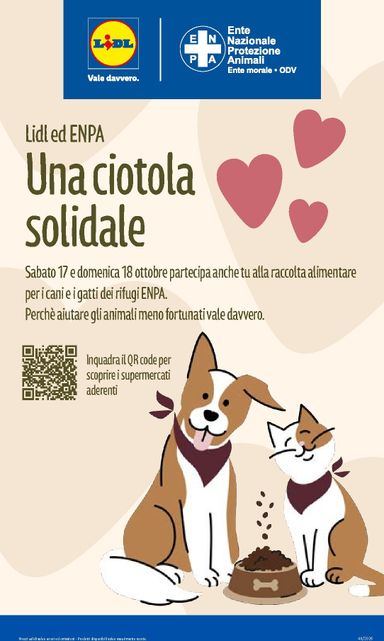 Volantino Lidl - Lidl valido dal 15/10 al 21/10 - pagina 31