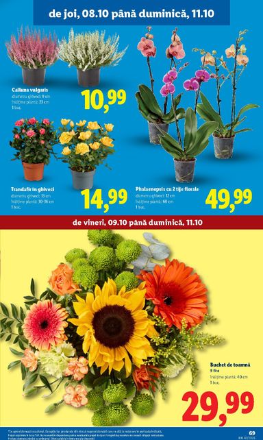 Catalogul Lidl - Lidl de la 05.10. până la 11.10. - pagina 69