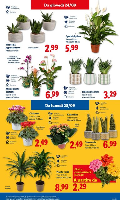 Volantino Lidl - Lidl valido dal 24/09 al 30/09 - pagina 43