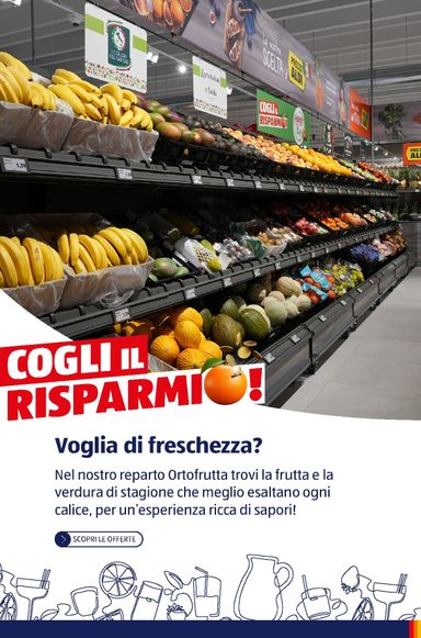 Volantino ALDI - ALDI - Brochure Vinoteca valido dal 06/07 al 31/12 - pagina 63