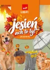POLO market - Jesień