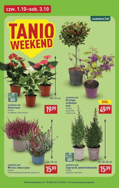 Gazetka ALDI - ALDI od 28.09. do 03.10. - strona 42