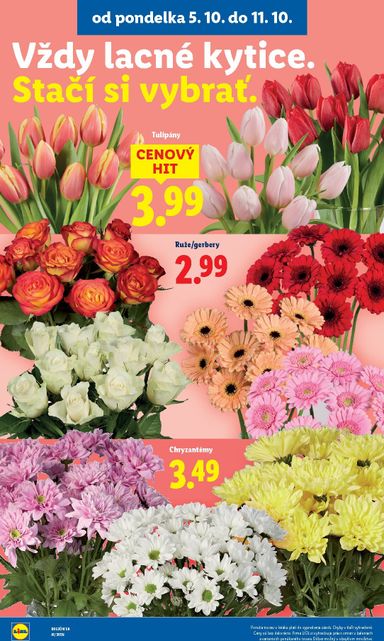 Leták Lidl - Lidl od 05.10. do 11.10. - strana 45