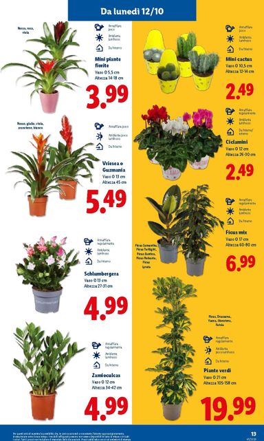 Volantino Lidl - Lidl valido dal 08/10 al 14/10 - pagina 35