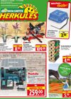 Herkules - Bau & Garten