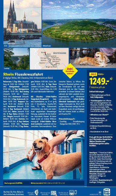 Prospekt Lidl - Lidl - Urlaub mit Hund gültig ab 29.07. bis 31.12. - seite 33