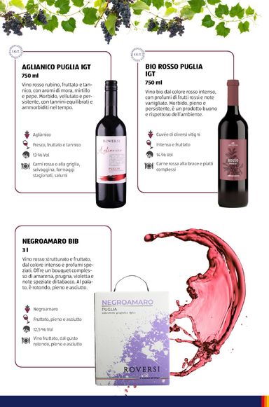 Volantino ALDI - ALDI - Brochure Vinoteca valido dal 06/07 al 31/12 - pagina 13