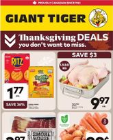 Giant Tiger flyer