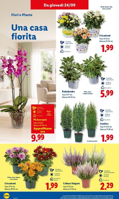 Volantino Lidl - Lidl valido dal 24/09 al 30/09 - pagina 42