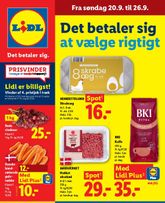Lidl tilbudsavis