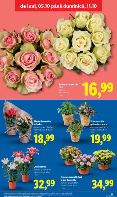 Catalogul Lidl - Lidl de la 05.10. până la 11.10. - pagina 67