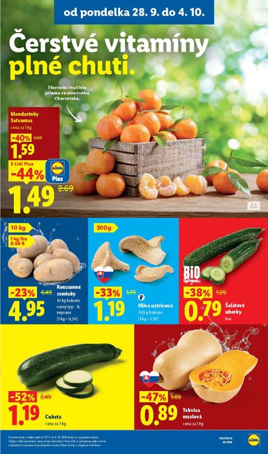 Leták Lidl - Lidl od 28.09. do 04.10. - strana 13