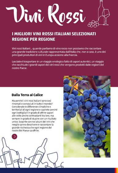Volantino ALDI - ALDI - Brochure Vinoteca valido dal 06/07 al 31/12 - pagina 8