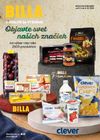 Billa - Katalóg Brands