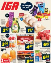 IGA flyer
