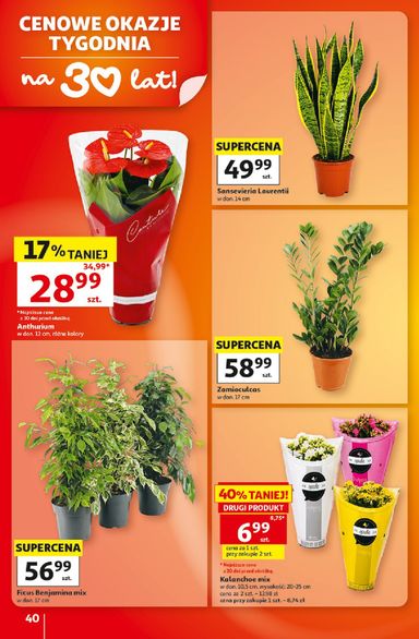 Gazetka Auchan - Hipermarket Auchan od 01.10. do 07.10. - strona 40