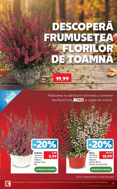 Catalogul Kaufland - Kaufland de la 30.09. până la 06.10. - pagina 21