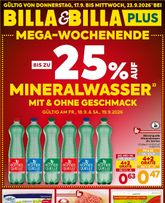 BILLA-Flugblatt