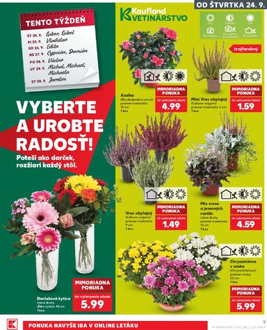Leták Kaufland - Kaufland od 24.09. do 30.09. - strana 9