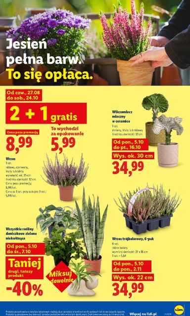 Leták Lidl Polsko - Lidl Polsko od 05.10. do 10.10. - strana 89