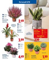 Volantini Lidl da giovedì 01/10
