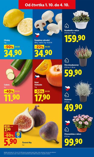 Leták Lidl - Lidl od 01.10. do 04.10. - strana 13
